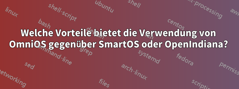 Welche Vorteile bietet die Verwendung von OmniOS gegenüber SmartOS oder OpenIndiana?