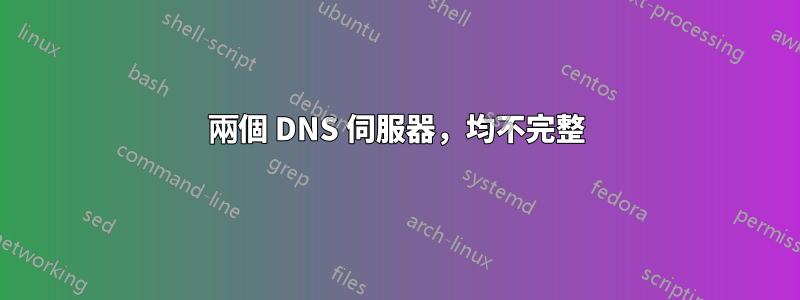 兩個 DNS 伺服器，均不完整