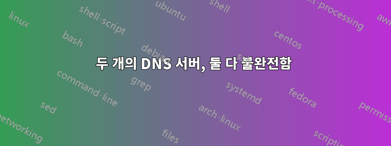 두 개의 DNS 서버, 둘 다 불완전함