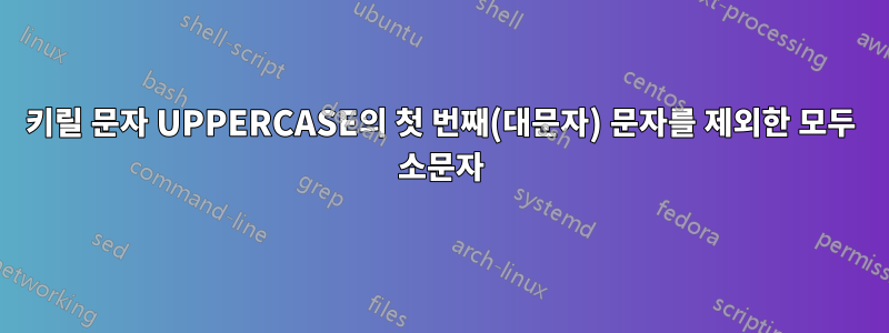 키릴 문자 UPPERCASE의 첫 번째(대문자) 문자를 제외한 모두 소문자