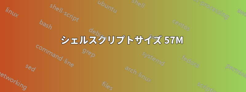 シェルスクリプトサイズ 57M