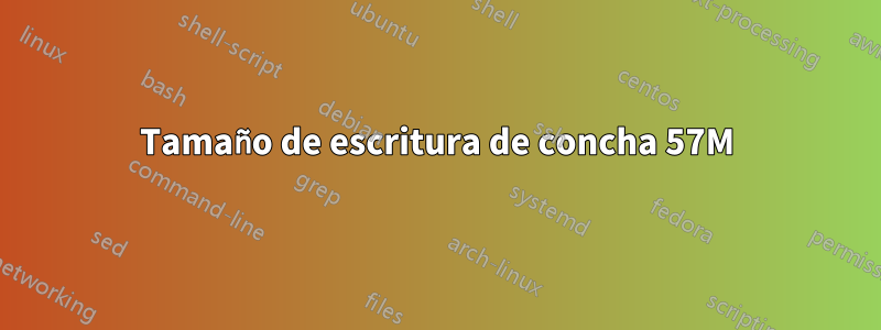 Tamaño de escritura de concha 57M