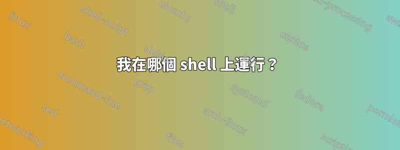 我在哪個 shell 上運行？
