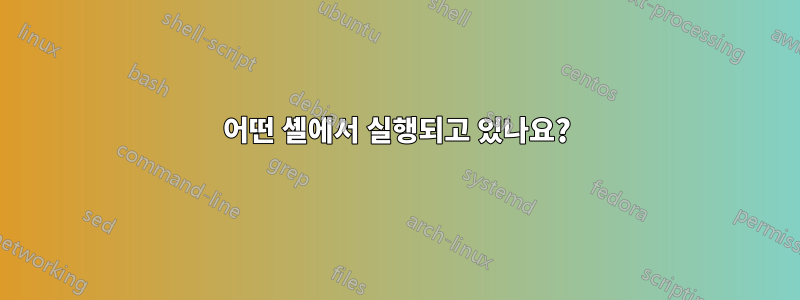 어떤 셸에서 실행되고 있나요?