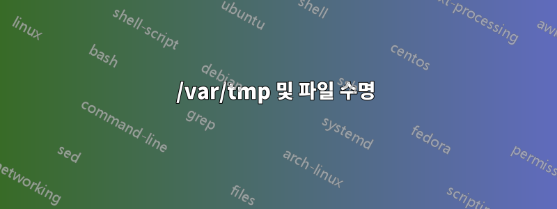 /var/tmp 및 파일 수명