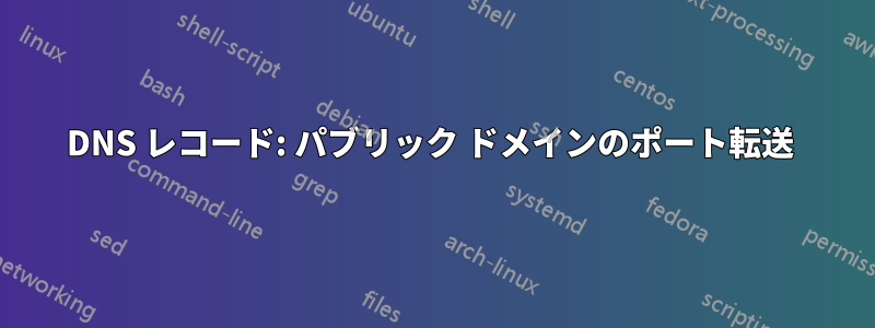 DNS レコード: パブリック ドメインのポート転送 