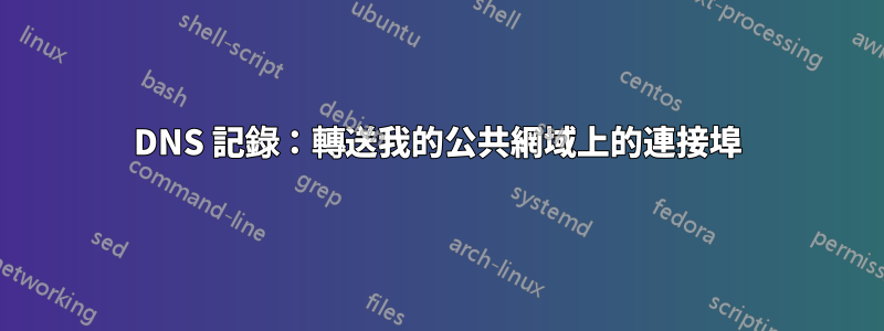 DNS 記錄：轉送我的公共網域上的連接埠