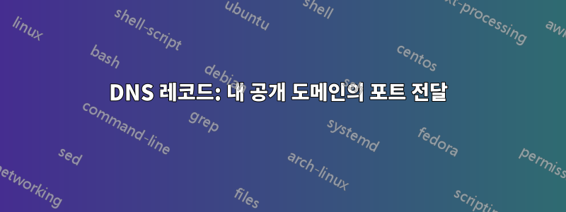DNS 레코드: 내 공개 도메인의 포트 전달 