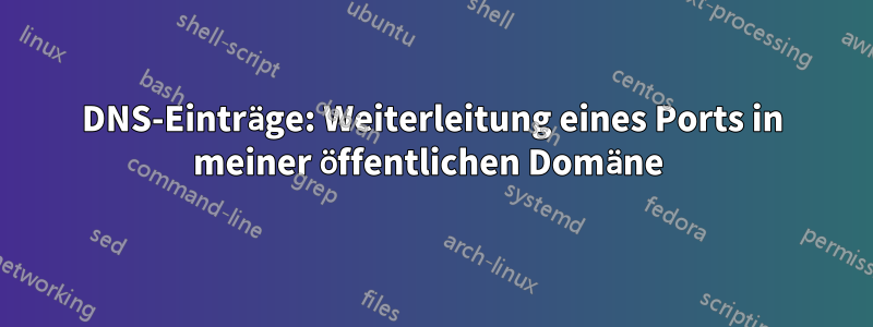 DNS-Einträge: Weiterleitung eines Ports in meiner öffentlichen Domäne 