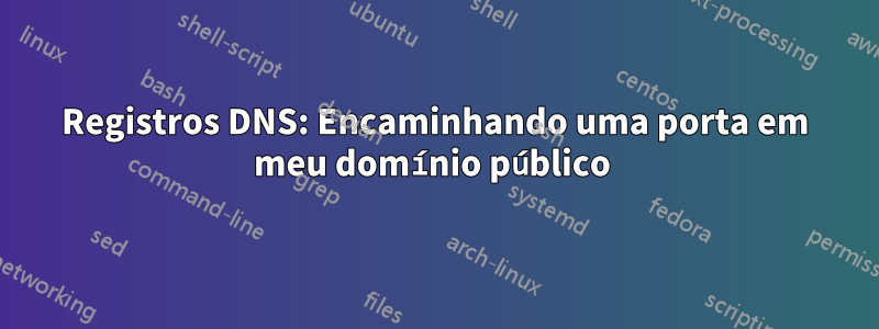 Registros DNS: Encaminhando uma porta em meu domínio público 