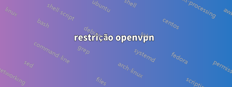 restrição openvpn 