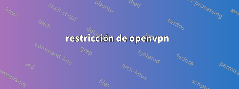 restricción de openvpn 