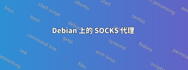 Debian 上的 SOCKS 代理