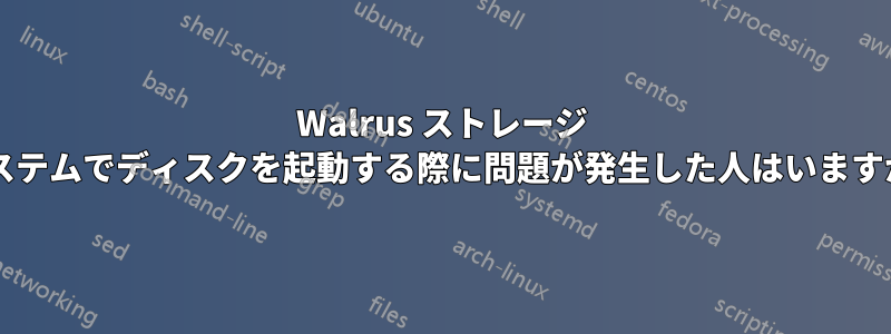 Walrus ストレージ システムでディスクを起動する際に問題が発生した人はいますか?