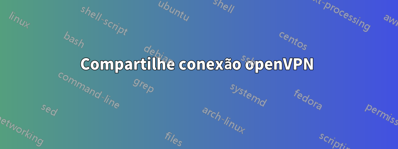 Compartilhe conexão openVPN