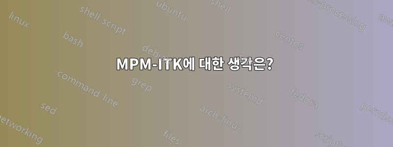 MPM-ITK에 대한 생각은?