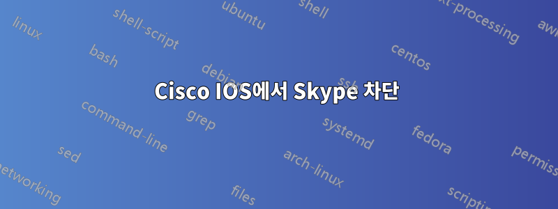 Cisco IOS에서 Skype 차단