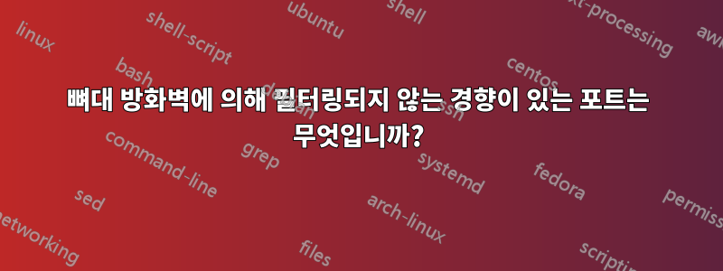 뼈대 방화벽에 의해 필터링되지 않는 경향이 있는 포트는 무엇입니까?