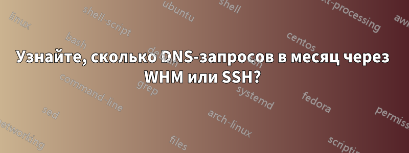 Узнайте, сколько DNS-запросов в месяц через WHM или SSH?