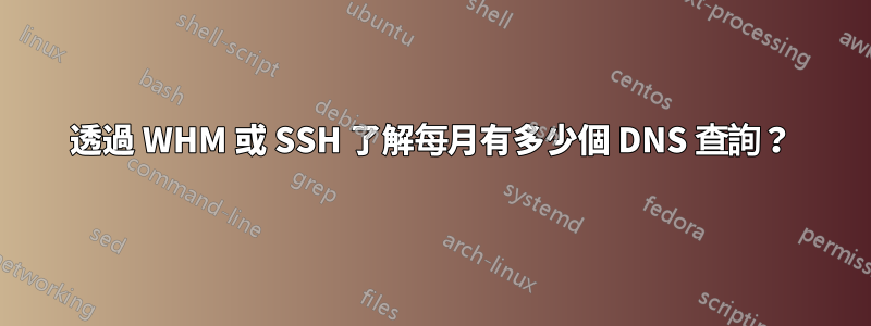 透過 WHM 或 SSH 了解每月有多少個 DNS 查詢？