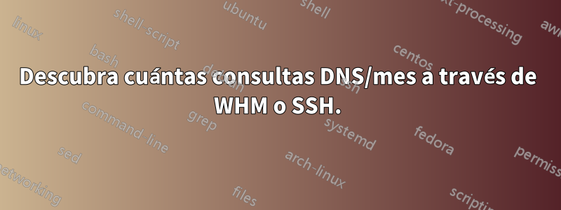 Descubra cuántas consultas DNS/mes a través de WHM o SSH.