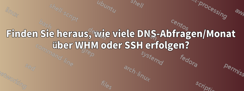 Finden Sie heraus, wie viele DNS-Abfragen/Monat über WHM oder SSH erfolgen?