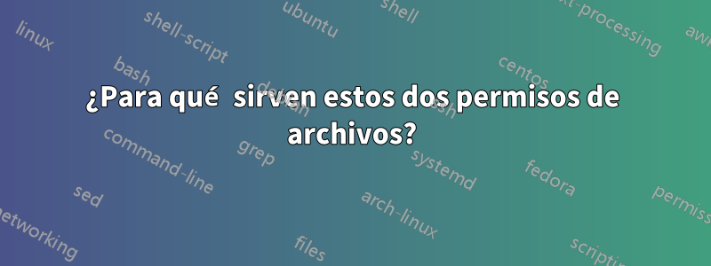 ¿Para qué sirven estos dos permisos de archivos?