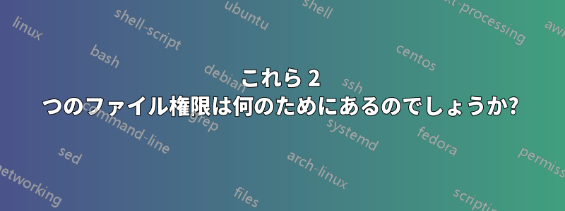 これら 2 つのファイル権限は何のためにあるのでしょうか?