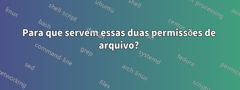 Para que servem essas duas permissões de arquivo?