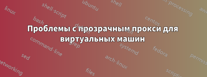 Проблемы с прозрачным прокси для виртуальных машин