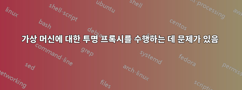 가상 머신에 대한 투명 프록시를 수행하는 데 문제가 있음