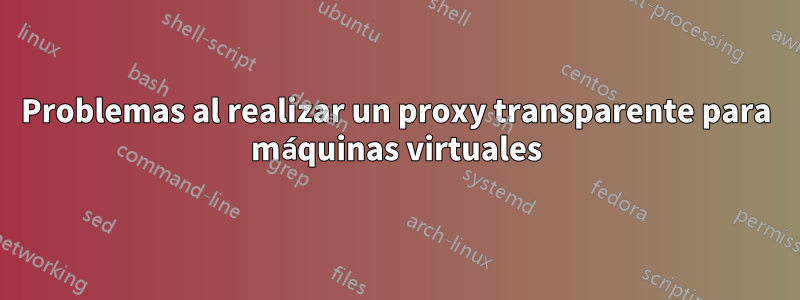 Problemas al realizar un proxy transparente para máquinas virtuales