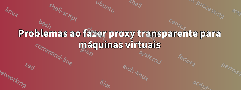 Problemas ao fazer proxy transparente para máquinas virtuais