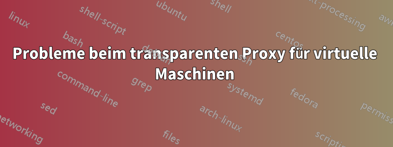 Probleme beim transparenten Proxy für virtuelle Maschinen