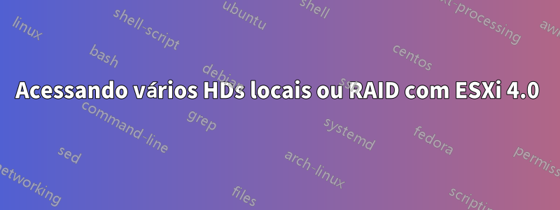 Acessando vários HDs locais ou RAID com ESXi 4.0