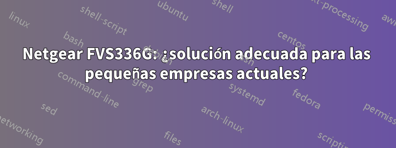 Netgear FVS336G: ¿solución adecuada para las pequeñas empresas actuales?