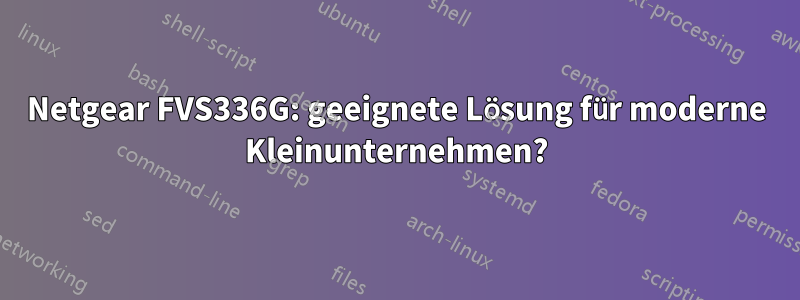 Netgear FVS336G: geeignete Lösung für moderne Kleinunternehmen?