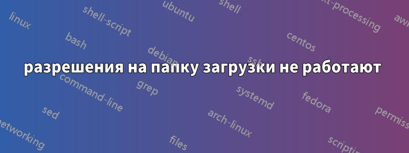 разрешения на папку загрузки не работают