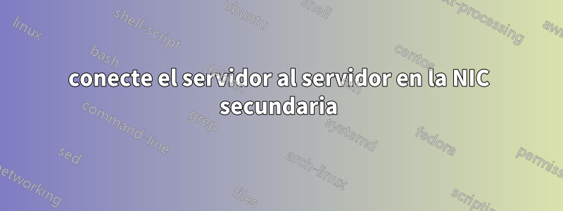 conecte el servidor al servidor en la NIC secundaria