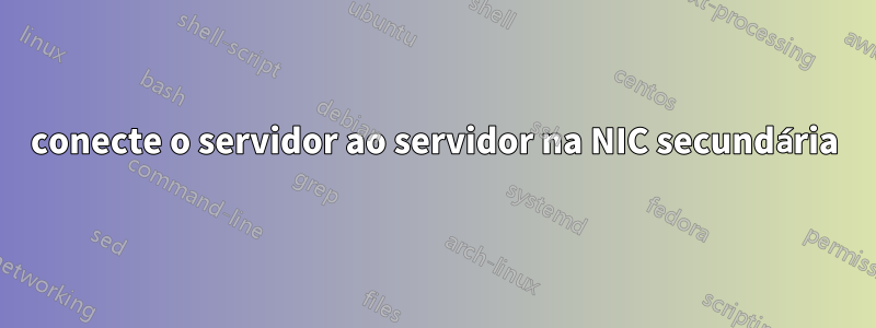 conecte o servidor ao servidor na NIC secundária