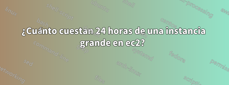 ¿Cuánto cuestan 24 horas de una instancia grande en ec2? 