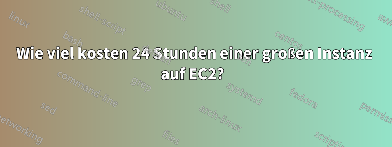 Wie viel kosten 24 Stunden einer großen Instanz auf EC2? 