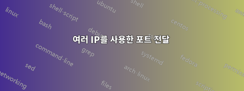 여러 IP를 사용한 포트 전달