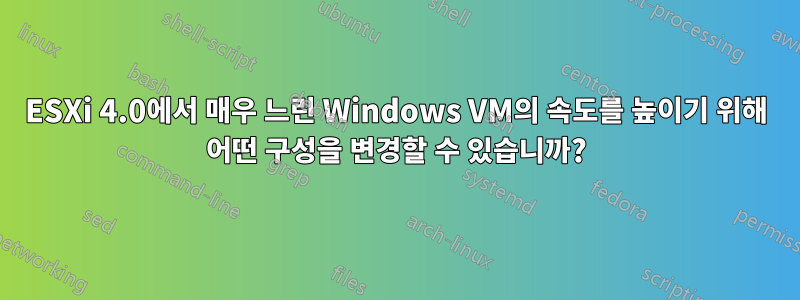 ESXi 4.0에서 매우 느린 Windows VM의 속도를 높이기 위해 어떤 구성을 변경할 수 있습니까?