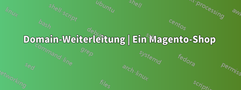 Domain-Weiterleitung | Ein Magento-Shop