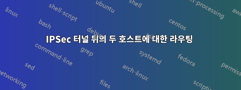 IPSec 터널 뒤의 두 호스트에 대한 라우팅