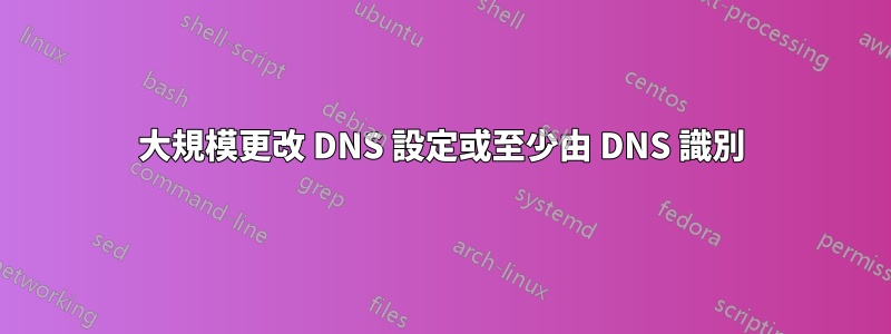 大規模更改 DNS 設定或至少由 DNS 識別