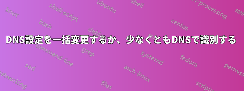 DNS設定を一括変更するか、少なくともDNSで識別する