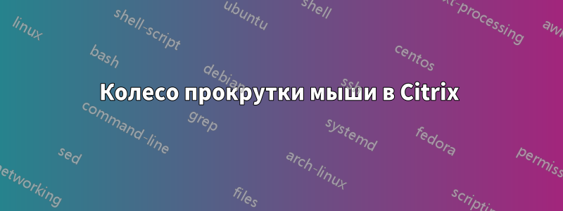 Колесо прокрутки мыши в Citrix