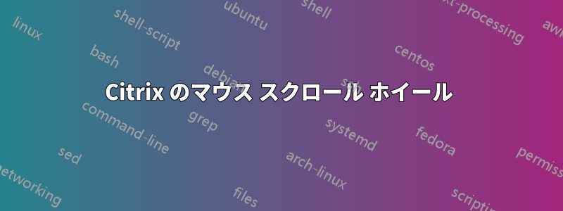 Citrix のマウス スクロール ホイール